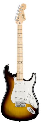 Guitar Fender Standard Stratocaster® 0144602509