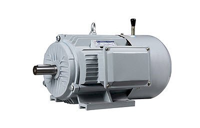 Động cơ điện Dasu YEJ2-100L1-8