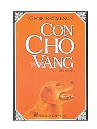 Con chó vàng