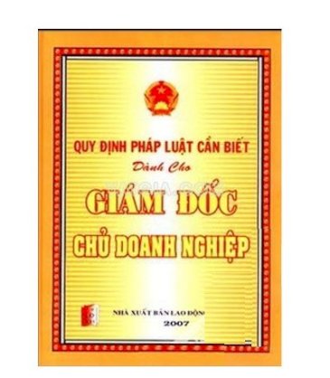 Quy định pháp luật cần biết dành cho giám đốc chủ doanh nghiệp