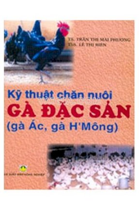 Nghề nuôi gà h' mông và gà ác