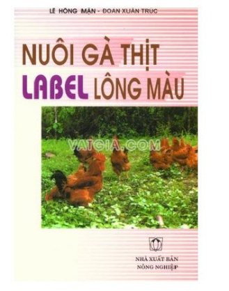 Nuôi gà thịt label lông màu 