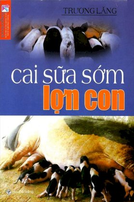 Cai sữa sớm lợn con