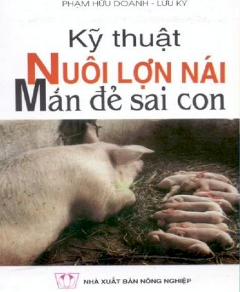 Kỹ thuật nuôi lợn nái mắn đẻ sai con