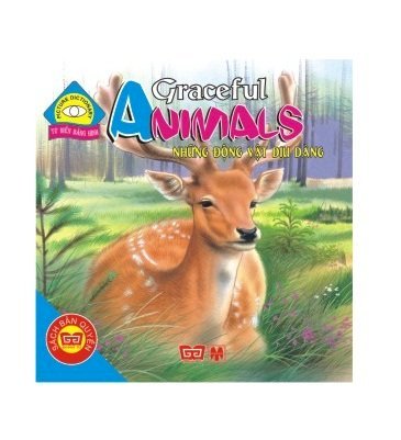 Graceful Animals - Những động vật dịu dàng