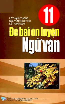 Đề bài ôn luyện ngữ văn 11