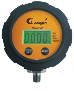 Pressure Gauge Aslantis DPG-G2.5CB (Đồng hồ áp suất)