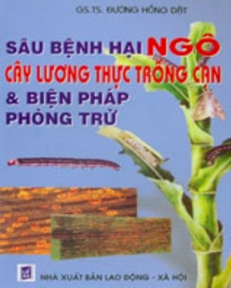 Sâu bệnh hại ngô, cây lương thực trồng cạn và biện pháp phòng trừ 