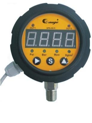 Pressure Gauge Aslantis DPS-G2.5 (Đồng hồ áp suất)