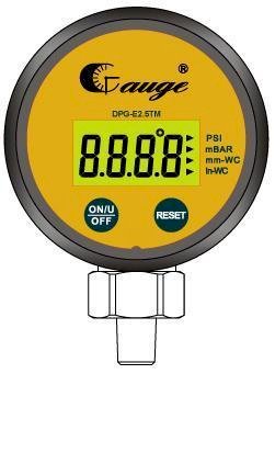 Pressure Gauge Aslantis DPG-E2.5TM (Đồng hồ áp suất)