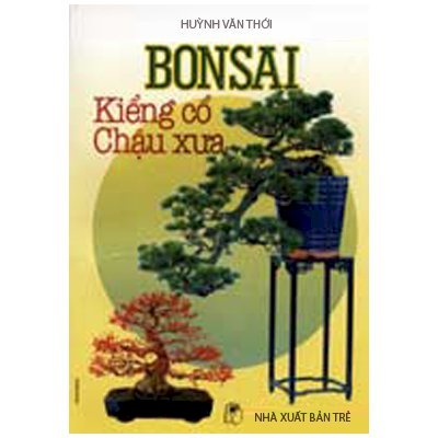 Bonsai kiểng cổ chậu xưa