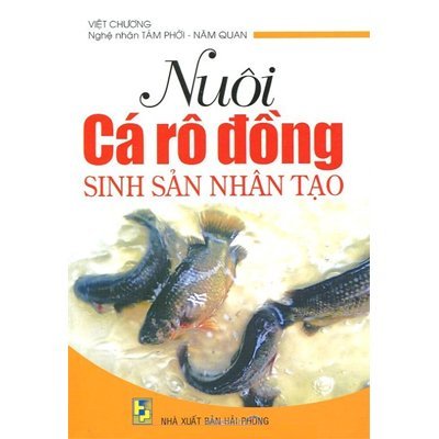 Nuôi cá rô đồng sinh sản nhân tạo