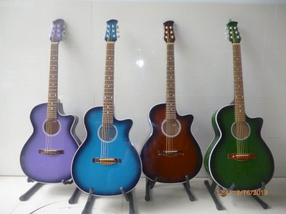 Guitar Acoustic VE-85