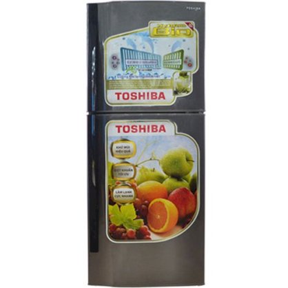 Tủ lạnh Toshiba GR-S21VPB (DS)