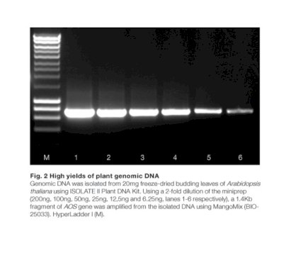 Bioline ISOLATE II Plant DNA Kit ( Kit Tách chiết DNA thực vật)