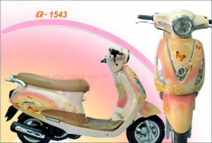 Decal trang trí xe máy SYM Atila Elizabeth Q1543