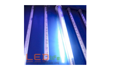 Đèn Led sao băng LEDlife LSBG-OSB