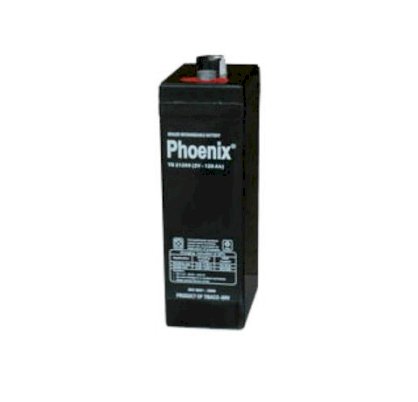 Ắc quy Phoenix TS21000 (2V-100Ah)