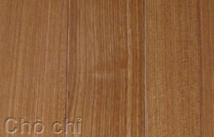 Sàn gỗ chò chỉ 15x120x600