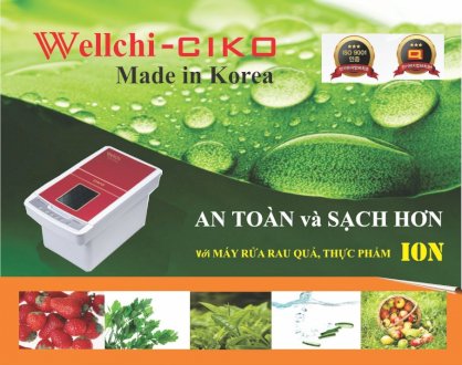 Máy rửa rau quả thực phẩm Wellchi-CIKO 