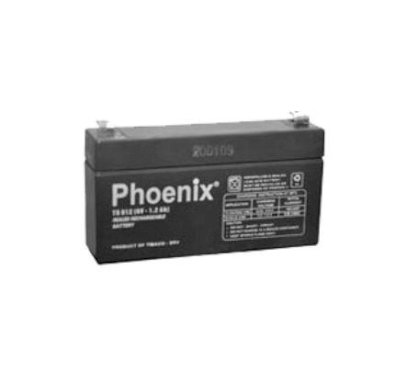 Ắc quy Phoenix TS612 (6V-1.2 Ah)