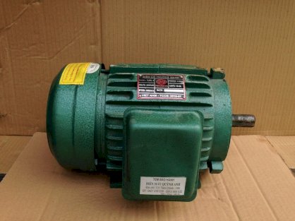 Động cơ điện 3 pha Trường Mạnh TM3000 (3KW)