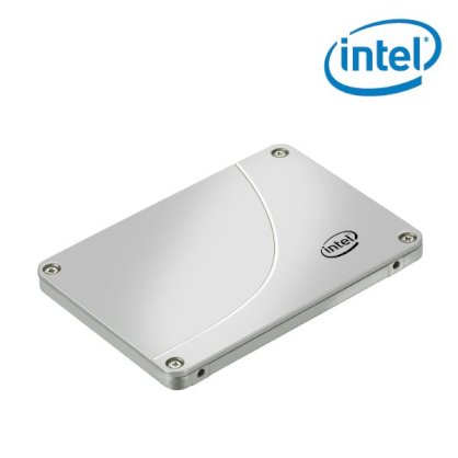 Intel SSD DC S3500 Series (480GB, 2.5in SATA 6Gb/s, 20nm, MLC)