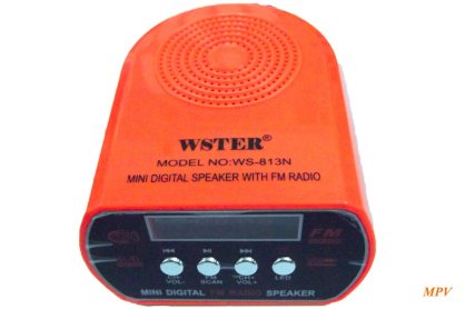 Wster WS-813N