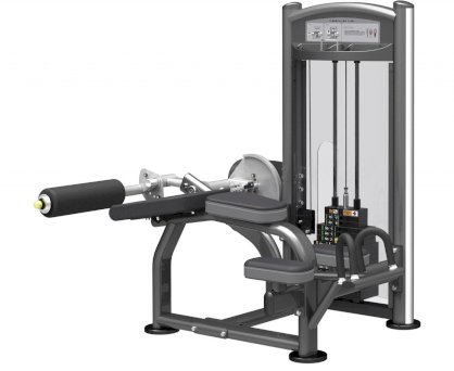  Máy tập nhóm cơ IT9321 V Bench Leg Curl