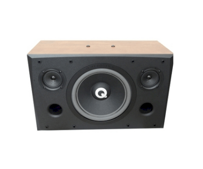 Loa Q Acoustics A1080 (200W, Woofer)