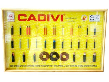 Cáp điện lực hạ thế Cadivi CV-800 (91/3.34)-0.6/1kV