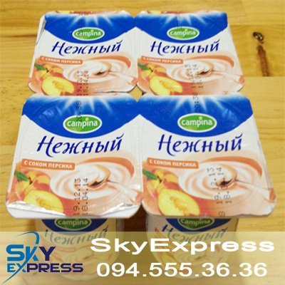 Sữa chua vị đào Nga SC-SK1