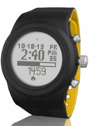 Đồng hồ thông minh LifeTrak Zone R415