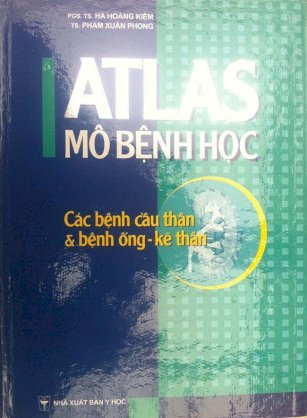 Atlas mô bệnh học - Các bệnh cầu thận, bệnh ống-kế thận