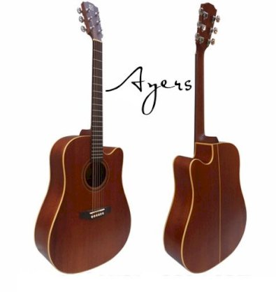 Ayers Acoustic Guitar DCM