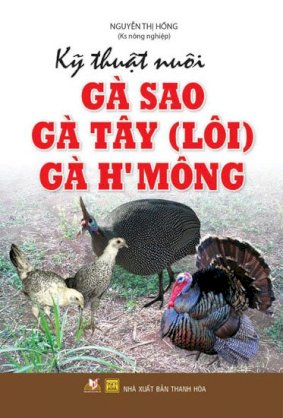 Kỹ thuật nuôi gà sao - gà tây - gà H'mông