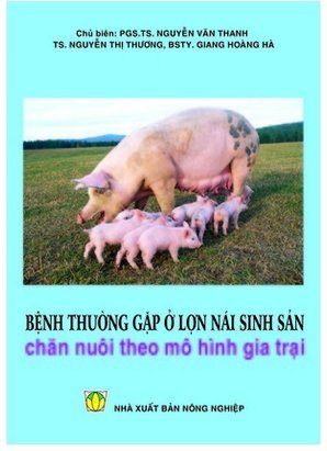 Bệnh thường gặp ở lợn nái sinh sản chăn nuôi theo mô hình gia trại