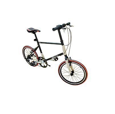 Xe đạp thể thao Mini Velo