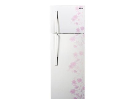 Tủ lạnh  LG GN-L272BF