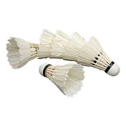 Crazy Shopping 6PCS White Feather Shuttlecocks Badminton