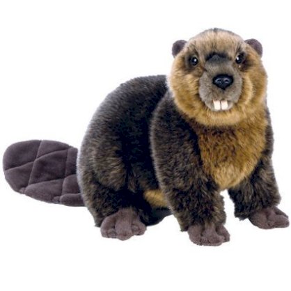 Webkinz Signature Beaver 