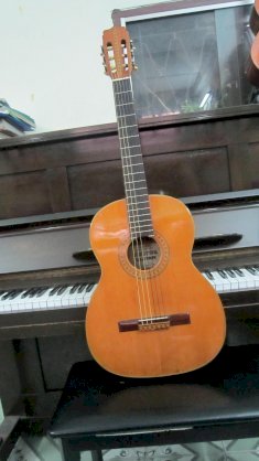 Đàn Guitar Shinwa No-80