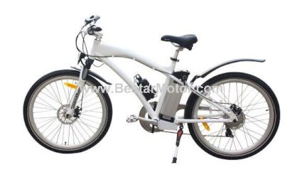 Xe đạp điện Bestar TDE01Z 2014