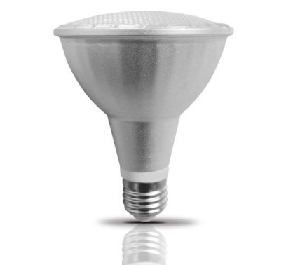 Bóng đèn Led Rạng Đông 5W (LED PAR 30N/5W)