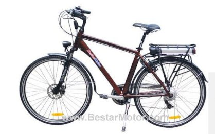Xe đạp điện Bestar TDB03Z 2014