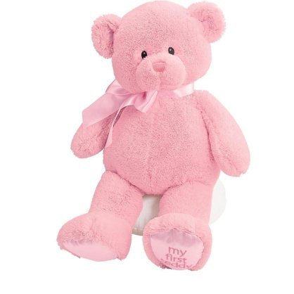 Gund Baby My First Teddy-Large-Pink