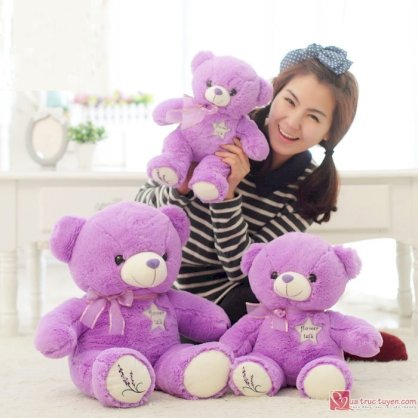 Gấu Teddy Lavender size L