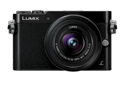 Panasonic Lumix DMC-GM5 (LUMIX G X VARIO 12-32mm F3.5-5.6 ASPH) Lens Kit