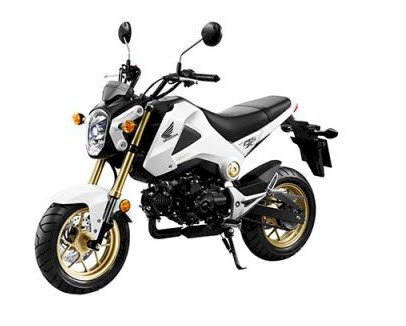 Honda MSX 125 Xe nhỏ cá tính