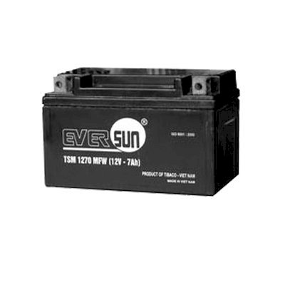 Ắc quy xe máy Eversun 12V - 9Ah TSM1290